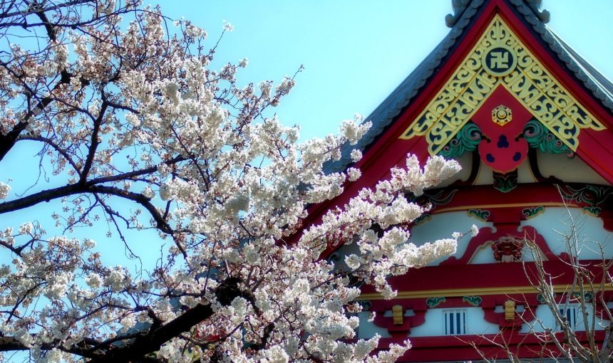 Japón Ikigai con Maldivas