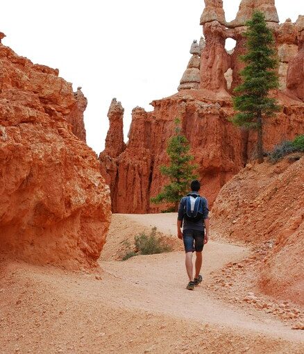Parques de Arizona