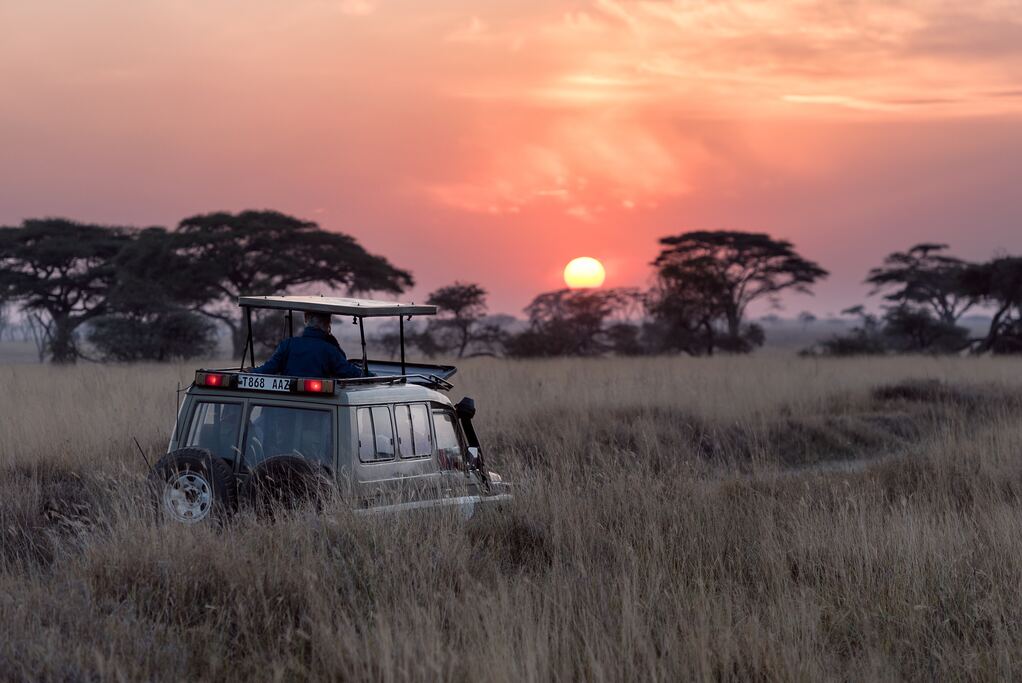 4x4 al atardecer en un safari