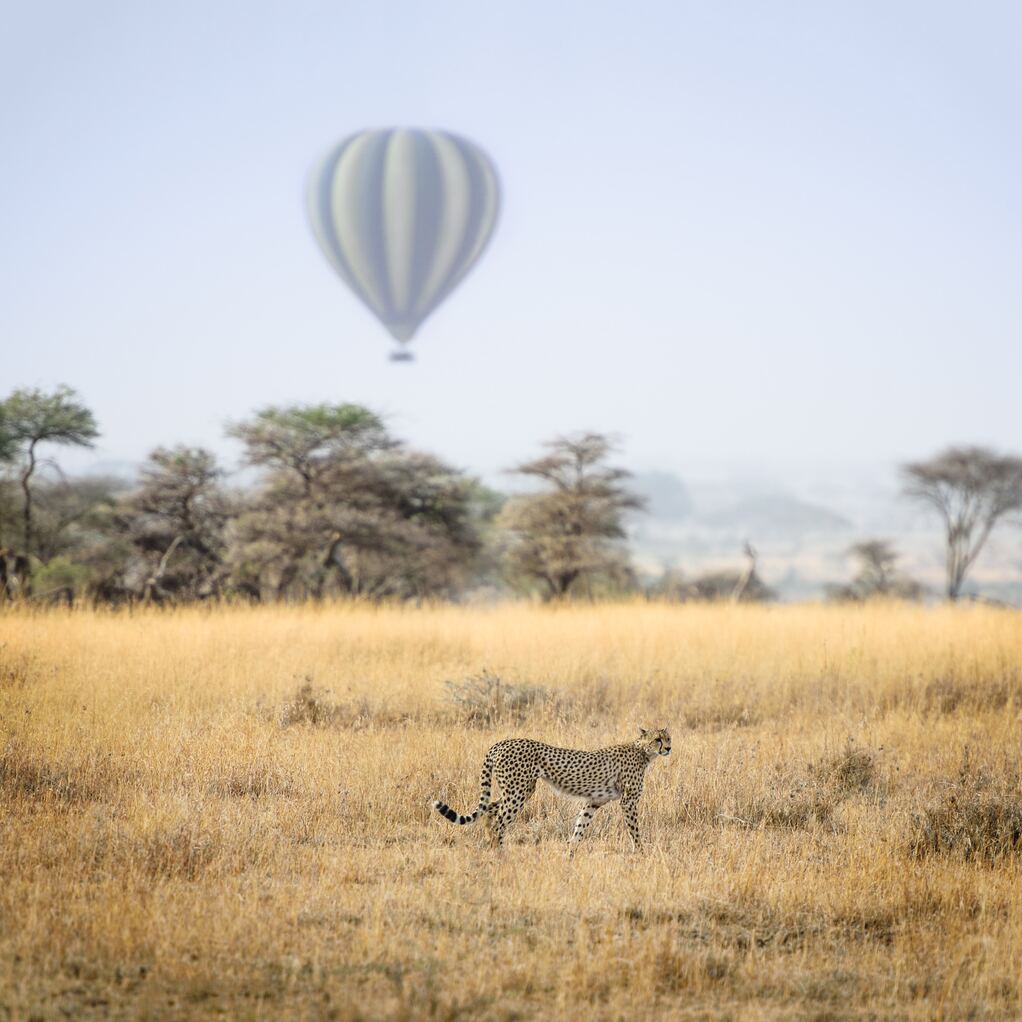 Globo sobrevolando el Serengeti